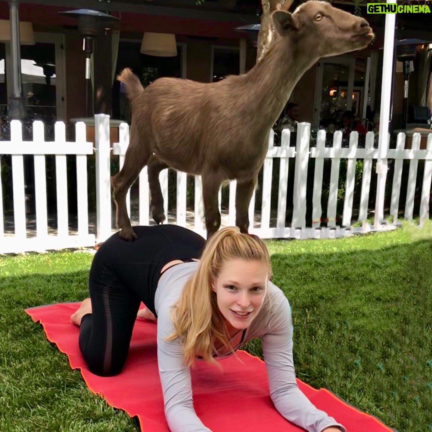 Cynthia Kirchner - 2K Likes - Goat Yoga🧘♀️🐐 @yogoatla #YoGoatLa