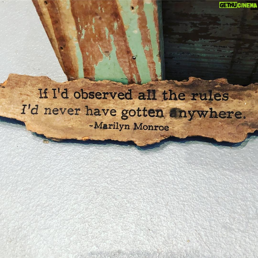 Cynthia Kirchner - 3.9K Likes - “If I’d observed all the rules, I’d never have gotten anywhere” -Marilyn Monroe #MyTruth #RuleBreaker
