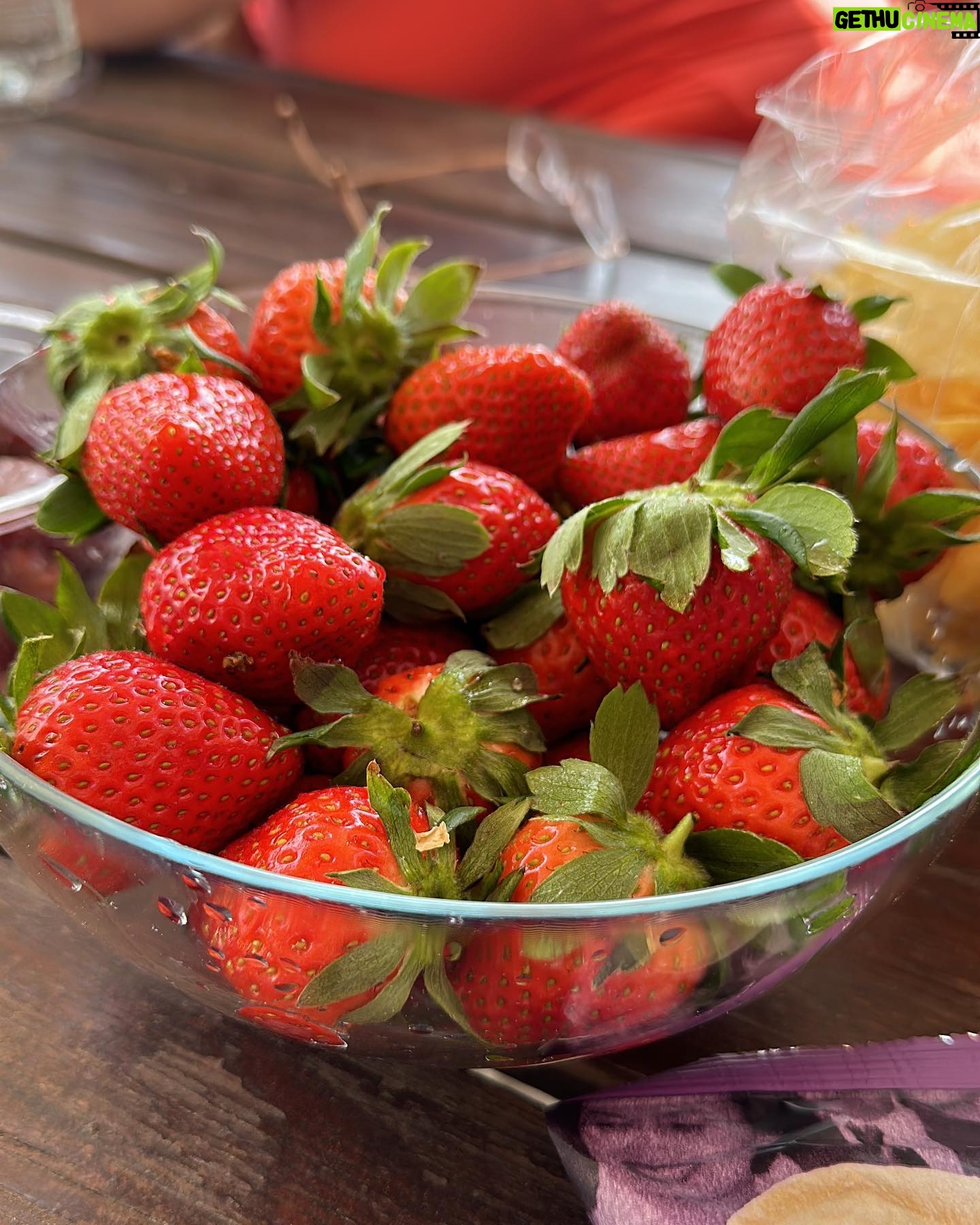 Cynthia Koh - 1.2K Likes - It’s spring time in Spain. A time for trees and flowers to bloom and grow. A refreshing change in weather from cold to warm. A chance for new beginnings…
#springday
#strawberries
#spain