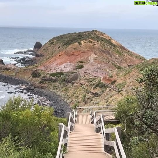 Cynthia Koh - 3 Likes - Whether you’re seeking a peaceful retreat in nature or craving a dose of history, a visit to Cape Schanck Lighthouse and its surrounding trails promises an unforgettable experience that will leave you in awe of the beauty that lies at the intersection of land and sea.
#CapeSchanck
#NatureLover
#explorediscover