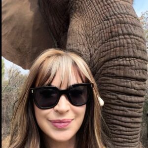 Cynthia Rothrock Instagram - Elephant Love #southafrica #elephants #cynthiarothrock #ladydragon