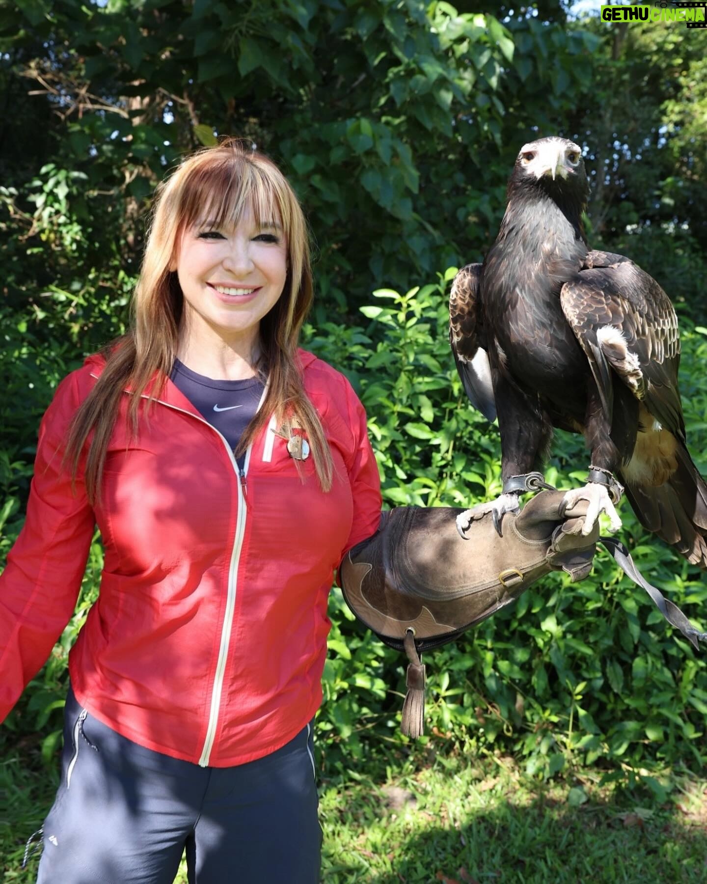 Cynthia Rothrock - 2.2K Likes - Fly like an eagle... #eagles #falconry #australiazoo #cynthiarothrock #ladydragon #blackcreekmovie