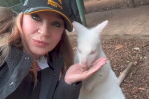 Cynthia Rothrock Instagram - Getting kissed by an Albino Kangaroo
