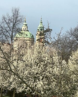 Dagmar Havlová Veškrnová Instagram - Všem přeji krásné jaro, na které jsme tak dlouho čekali💜🌷🌷🌷