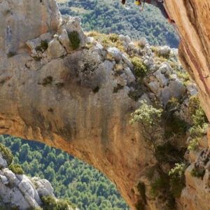 Daila Ojeda Instagram - CAMPUS ESCALADA 🧗‍♂️ 
DAILA OJEDA   BLACK DIAMOND 💠

{CAST} Fin de semana del 10 al 12 de Mayo de formación en Escalada Deportiva con @dailaojeda en Camarasa (Lleida). Mejora tu técnica y prepárate para nuevos retos. Grupo super reducido. Casa, regalos de material por @blackdiamond, comida, cocinero y vídeo profesional del finde incluidos.

{ENG} Weekend from May 10 to 12 of training in Sport Climbing with @dailaojeda in Camarasa (Lleida). Improve your technique and prepare for new challenges. Super small group. House, material gifts from @blackdiamond, food, cook and professional video of the weekend included.

{CAT} Cap de setmana del 10 al 12 de Maig de formació a Escalada Esportiva amb @dailaojeda a Camarasa (Lleida). Millora la teva tècnica i prepara’t per a nous reptes. Grup super reduït. Casa, regals de material per @blackdiamond, menjar, cuiner i vídeo professional del finde inclosos.

🙌🏻Para apuntarse
WhatsApp:  34 613 03 77 00
Email: info@b4experience.com

📸: @bernardo_gimenez, @sputnikclimbing, @paolosartophoto 

 #escaladadeportiva #escalar #dailaojeda #blackdiamond #campus #camarasa