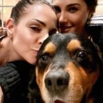 Daisy Fuentes Instagram - Joy 🐶❤️👯‍♀️ #sistersquad