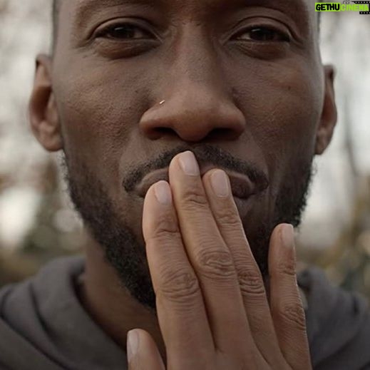 Daisy Ridley Instagram - Saturday screening: Swan Song (2021). The MOST genius performances from Mahershala Ali. Love love love this film.