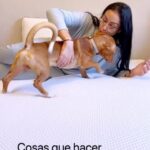 Dakota Tárraga Instagram - Porque no siempre un colchón de @emma_colchon lo tienes que disfrutar sol@ Recordad que con mi código DAKOTA tenéis un 10% de descuento aplicable al que haya activo en la web… 😴🧘🏽‍♀️❤️