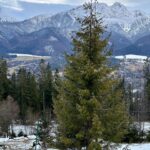 Dalila Carmo Instagram – Always mountains calling…
Instalandscaping #instalandscaping #zakopane