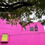 Dalila Carmo Instagram - Festim visual🩷💜💙💛 #barragan