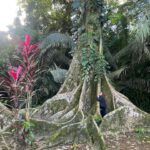 Dalila Carmo Instagram - 🌳🌴🌲 que são ⛺️🛖🏠