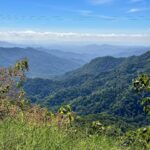 Dalila Carmo Instagram - #ontheroadsomewhere #roadtripping #abovetheclouds