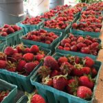 Damaris Phillips Instagram - The 2024 date night picnic season starts Friday! We are celebrating the spring harvest in Kentucky and so we had to include strawberries to the menu. You can order now and help us settle a debate. Is Strawberry shortcake served with sweet biscuits, pound cake, or angel food cake?