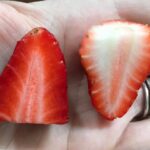 Damaris Phillips Instagram - The 2024 date night picnic season starts Friday! We are celebrating the spring harvest in Kentucky and so we had to include strawberries to the menu. You can order now and help us settle a debate. Is Strawberry shortcake served with sweet biscuits, pound cake, or angel food cake?