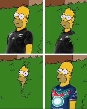 Dame Valerie Adams Instagram - Up the WAHS👀🤣