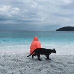 Damla Colbay Instagram – kedi miyim