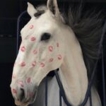 Dana Sokolova Instagram – Веди себя естественно, говорили они