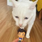 Dana Terrace Instagram – THANK YOU @dreamdoveshop!!! She’s perfect and READY TO BECOME THE GREATEST WITCH EVER! 
#theowlhouse