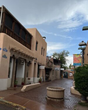 Danay García Instagram - I ❤️ Santa Fe. 💕🪴🌱
With our divine connection we are always in touch with the solutions we are seeking. #travel #roadtrip #santafe #lawspañola #goodmorning #goodvibes #light #danaygarcia 
Never forget the magic. 🧡🪴#queen