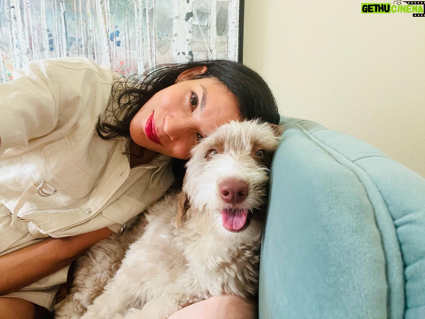Danay García Instagram - Monday with this boy 🐶 Here is a message just for you🌸 “When you have once seen the glow of happiness on the face of a beloved person, you know that a man can have no vocation but to awaken that light on the faces surrounding him. In the depth of winter, I finally learned that within me there lay an invincible summer.” #startweek #love #funtimes #cute #dogs #bestfriends #gratitute Never forget the magic 🌱💕🌵