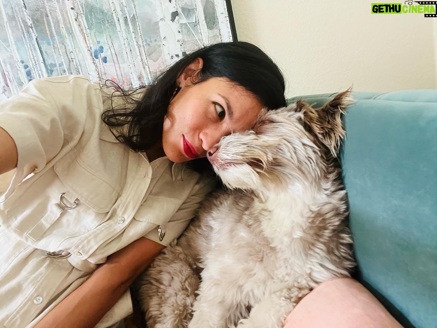 Danay García Instagram - Monday with this boy 🐶 Here is a message just for you🌸 “When you have once seen the glow of happiness on the face of a beloved person, you know that a man can have no vocation but to awaken that light on the faces surrounding him. In the depth of winter, I finally learned that within me there lay an invincible summer.” #startweek #love #funtimes #cute #dogs #bestfriends #gratitute Never forget the magic 🌱💕🌵