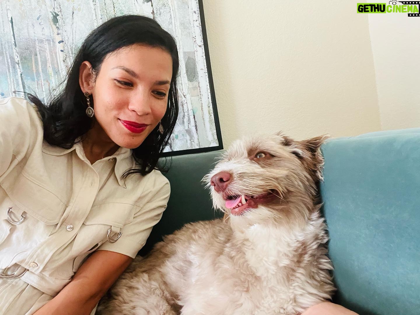 Danay García Instagram - Monday with this boy 🐶 Here is a message just for you🌸 “When you have once seen the glow of happiness on the face of a beloved person, you know that a man can have no vocation but to awaken that light on the faces surrounding him. In the depth of winter, I finally learned that within me there lay an invincible summer.” #startweek #love #funtimes #cute #dogs #bestfriends #gratitute Never forget the magic 🌱💕🌵