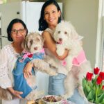 Danay GarcΓa Instagram – Happy Motherβs Day familia! Feeling grateful to be able to share so many special moments with my mom. πΈπ·
Hope you had the most beautiful day. Sending love to all the mamas in the world. #mothersday #light #beautiful #weekend #gratitude #live #love #mama #alwaysthere #amor #madres #motherhood
Never forget the magic! π
