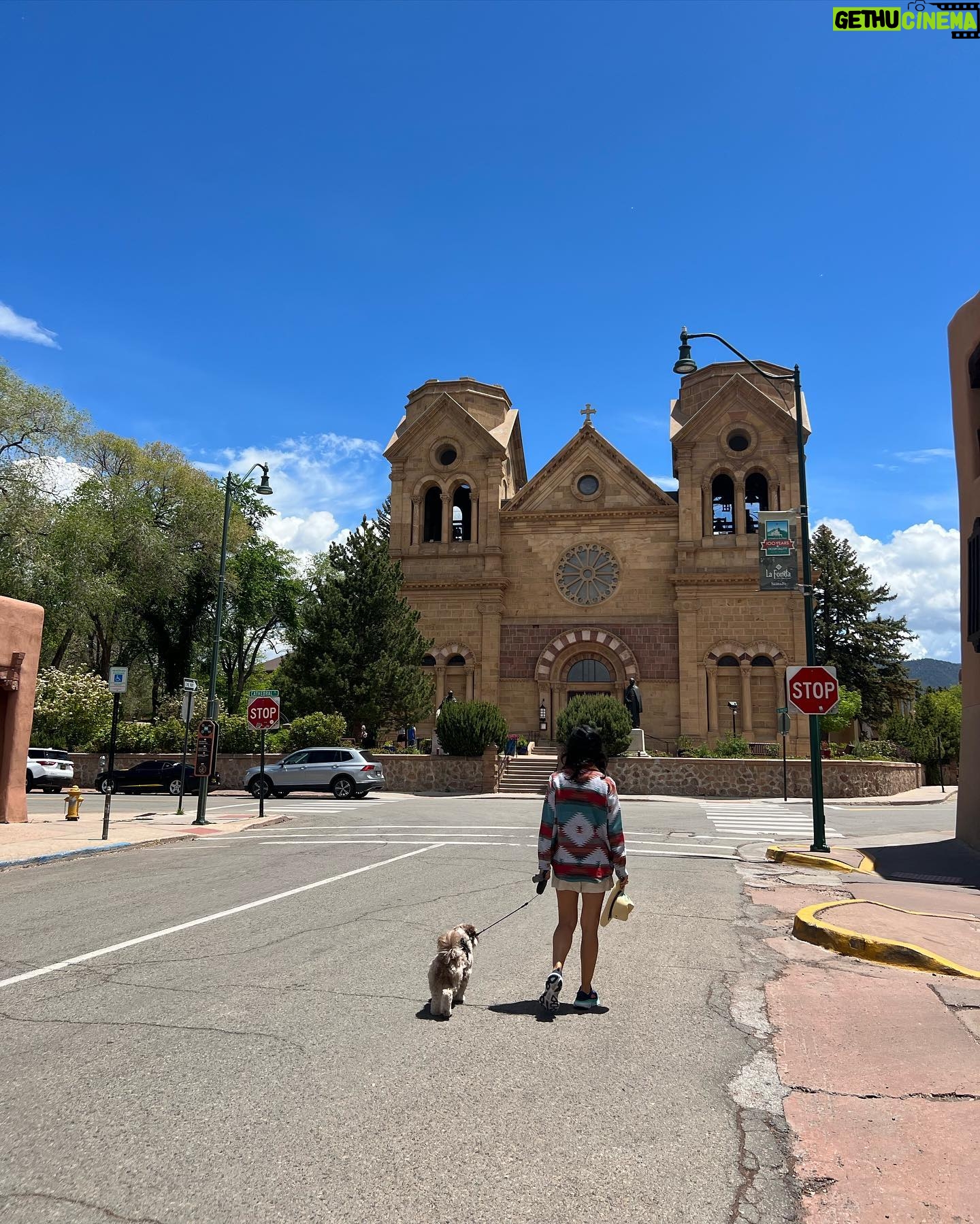 Danay García - 1.9K Likes - I ❤️ Santa Fe. 💕🪴🌱
With our divine connection we are always in touch with the solutions we are seeking. #travel #roadtrip #santafe #lawspañola #goodmorning #goodvibes #light #danaygarcia
Never forget the magic. 🧡🪴#queen