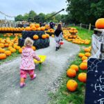 Dani Harmer Instagram – This is Halloween 🎃 👻!!!!
What a fab day @westlodgefarmpark can’t recommend their pumpkin patch enough! So much to do! The kids loved it!!
Not an ad or gifted! Just had an amazing time and wanted to share 😊