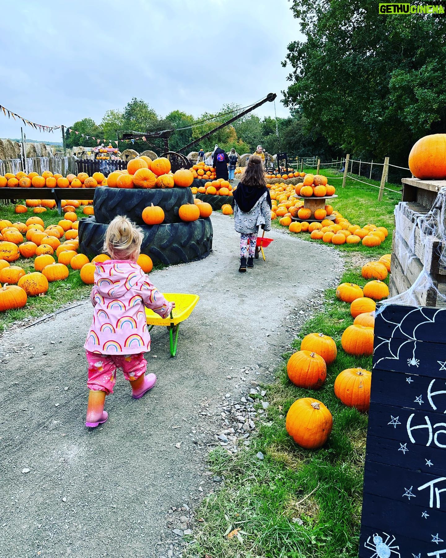 Dani Harmer Instagram - This is Halloween π π»!!!! What a fab day @westlodgefarmpark canβt recommend their pumpkin patch enough! So much to do! The kids loved it!! Not an ad or gifted! Just had an amazing time and wanted to share π
