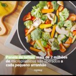 Daniela Escobar Instagram – Causam defeitos no feto. Câncer. Entre outras problemas de saúde. Evite esse tipo de panelas….
Caso não tenha outra opção no momento use somente colheres de pau para cozinhar com elas. Evitando assim de arranhar. Se já tiver arranhada, jogue fora. Sua saúde custará mais caro do que uma panela nova de aço Inoxidável ou ferro…