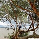 Daniela Escobar Instagram - Meu pai mora bem ali em frente ao Rio Guaíba, minha mãe também. Essas fotos foram tiradas em minha última visita a eles, ano passado. Quando ele completou seus 80 anos e fizemos uma festa surpresa pra ele. Fui com meu pai na orla do rio Guaíba caminhar e assistir o pôr do sol.🌅 O céu fica cor de laranja e a gente faz segundos de silêncio para refletir sobre o que é preciso fazer para se continuar nos caminhos que escolhemos trilhar. Nos abraçamos à beira d’água até o escurecer. Semana passada ele teve que descer 9 andares no escuro, porque seu prédio ficou sem luz ( portanto sem elevador, geladeira ou comunicação) e com a água na metade do elevador. Foi retirado do prédio em um barquinho mínimo que mal cabia três pessoas. Ele, minha madrasta e a gata deles Luna. Agradeço imensamente quem pilotou esse barquinho e efetuou o resgate. Quatro dias antes deles, meu irmão resgatou a minha mãe que também desceu os oito andares pelas escadas. Não chegou a perder o carro na garagem inundada por questão de horas. Sorte. Saiu do prédio com água no meio da perna. Saíram em tempo, mas sem acreditar que isso duraria tanto, portanto com duas mudinhas de roupa… Foram para o bairro onde mora meu irmão, lá onde pareciam seguros, em 4 dias mais já não tinham água nos prédios, pois a bomba que fornece água para aquela parte da cidade estourou. Precisaram ser relocados mais uma vez, agora para o litoral do estado, algumas horas de viagem e de angústia por nunca terem visto nada parecido antes. É tanta destruição e morte, de gente e de animais, que dói o coração mesmo a milhares de kilometros de distância. E tanta gente sem entender o porque disso tudo estar acontecendo… Espero que as autoridades do Rio Grande do Sul se desapeguem das perversidades políticas que nos dividem, desnecessária e desgraçadamente, e auxiliem as vítimas dessa tragédia, sejam elas de esquerda ou de direita. Não percam tempo com ironias maldosas sobre o comportamento uns dos outros, com fake news e mediocridades que só nos prejudicam. Façam o bem! Se você escapou vivo é por alguma razão. Não desperdice essa nova chance. Aprenda com essa árdua lição. Minha admiração eterna aos que estão nos resgates.💪🏻