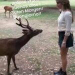 Daniela Escobar Instagram – Bom dia! 
Good morning! 
Buongiorno! 
Buenos dias!
Guten Morgen!
Bonjour!
доброе утро!