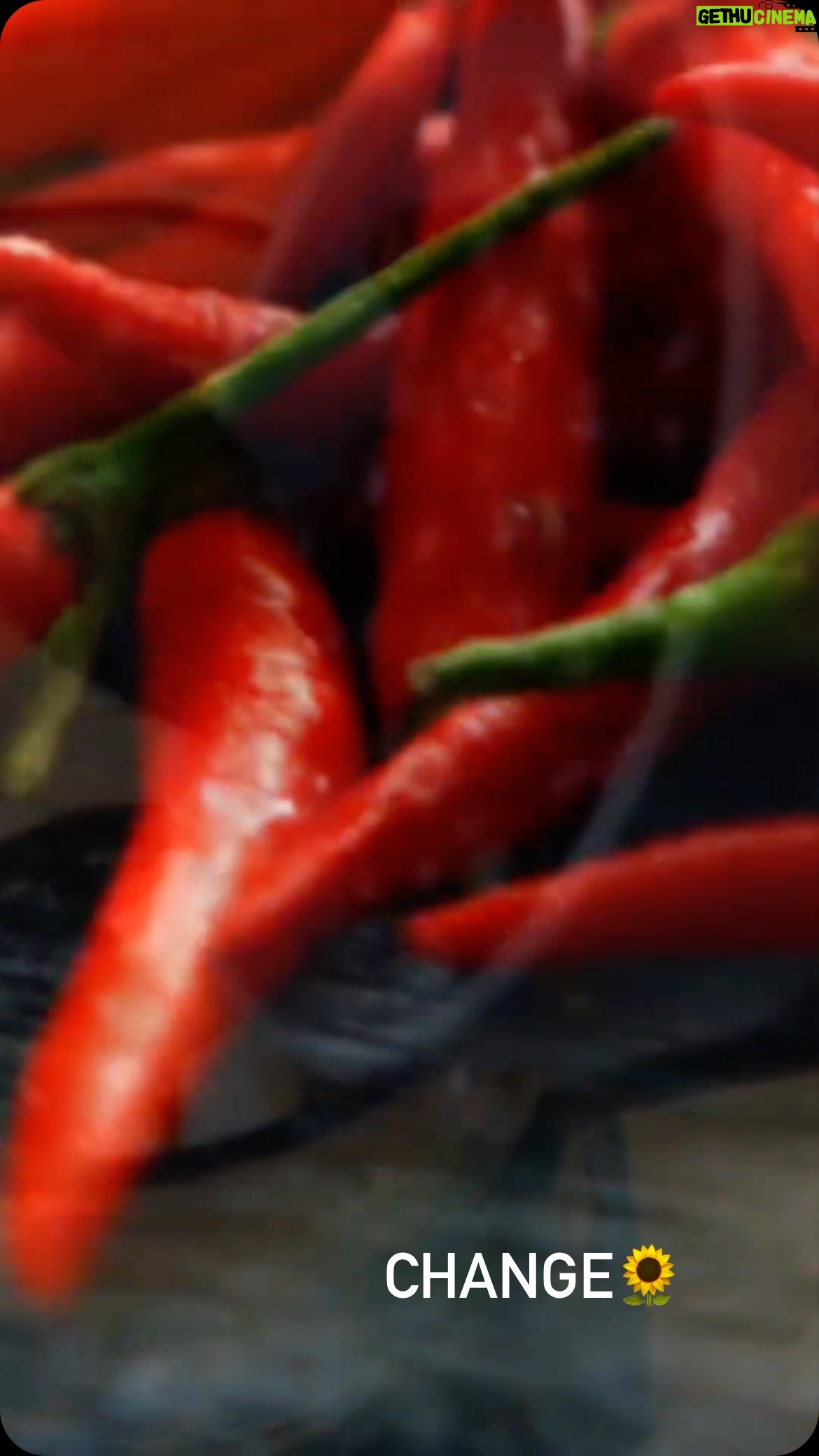 Daniela Escobar Instagram - Você sabia que MAÇÃS 🍎 previnem desidratação? MANGAS melhoram a saúde da pele. MIRTILOS defendem as células de toxinas. PIMENTA 🌶️ estimula o funcionamento do fígado. LIMÃO melhora a digestão. GENGIBRE ajuda a equilibrar os hormônios da tireoide. RADICCHIO fortalece o sistema imunológico. ROMÃS limpam o sistema linfático. 💪🏻🌻
