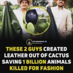 Daniela Escobar Instagram - Esses dois criaram um “couro” a partir do cactus, salvando a vida de 1 bilhão de animais que seriam mortos para a indústria da moda. Cactus não precisa de muita água, é uma planta bastante resistente e o material derivado de suas folhas mais maduras oferece espessuras e texturas diferentes, o que também permite uma variedade de cores para o produto final. Palmas para Adrian e Marte.👏🏻👏🏻👏🏻👏🏻👏🏻