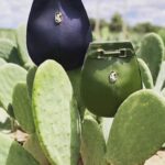 Daniela Escobar Instagram - Esses dois criaram um “couro” a partir do cactus, salvando a vida de 1 bilhão de animais que seriam mortos para a indústria da moda. Cactus não precisa de muita água, é uma planta bastante resistente e o material derivado de suas folhas mais maduras oferece espessuras e texturas diferentes, o que também permite uma variedade de cores para o produto final. Palmas para Adrian e Marte.👏🏻👏🏻👏🏻👏🏻👏🏻