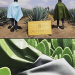 Daniela Escobar Instagram - Esses dois criaram um “couro” a partir do cactus, salvando a vida de 1 bilhão de animais que seriam mortos para a indústria da moda. Cactus não precisa de muita água, é uma planta bastante resistente e o material derivado de suas folhas mais maduras oferece espessuras e texturas diferentes, o que também permite uma variedade de cores para o produto final. Palmas para Adrian e Marte.👏🏻👏🏻👏🏻👏🏻👏🏻