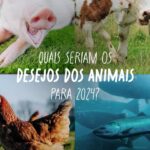 Daniela Escobar Instagram – Um feliz Ano Novo pra todos nós! Com mais compaixão, amor no coração, mais consciência nas escolhas, menos arrogância, mais despertares…
Enquanto continuarem comendo uns aos outros, as guerras nunca vão terminar….
🎊🎉💪🏻🌻🙏🏻❤️