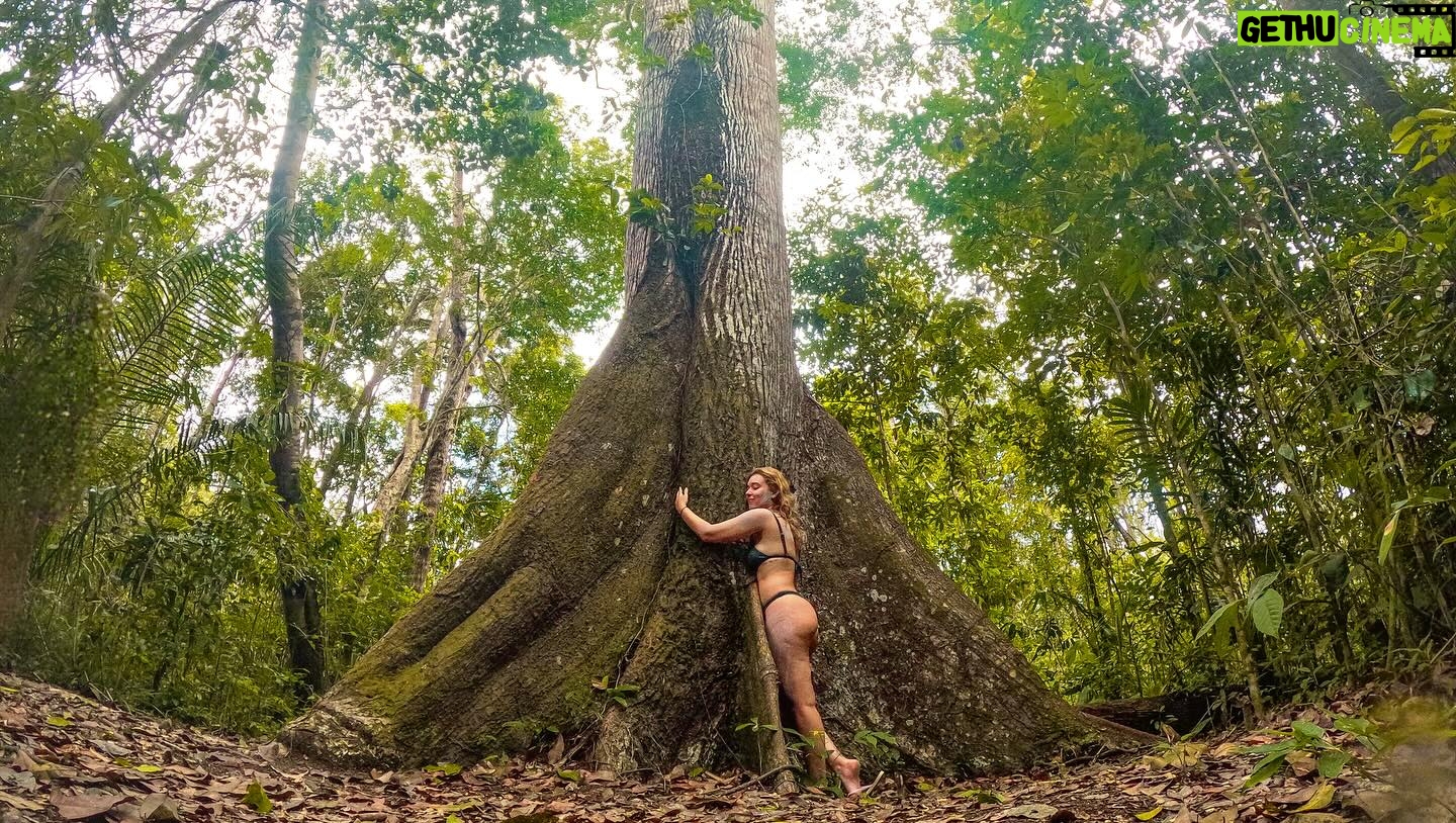 Daniela Paschoal Instagram - o dia do #tbt foi ontem mas o insta é meu e eu posto quando quiser! 😆🤭 vou começar pelo final da nossa viagem, que foi esse passeio tão especial com a @ecoboat_lagoajequia e o pessoal da comunidade! 🍃 a Lagoa de Jequiá é que a 3º maior lagoa do estado, fica no sul de Alagoas, dá mais ou menos 1h de Maceió, é bem pertinho! O passeio é uma imersão linda na natureza, num cantinho ainda tão preservado, e cheio de histórias sobre a cultura local! Ele começa lá na Lagoa de Jequiá, onde tivemos a sorte e a benção da mãe natureza, de ver um panapaná (nuvem de borboletas), que seguiu acompanhando todo o nosso trajeto. Paramos em alguns pontos pra nadar na lagoa e pular da tradicional escadinha que tem pouco mais de quatro metros (tem o vídeo no reels anterior. e eu levei bronca de painho e mainha quando viram o vídeo. 🤭). Depois fizemos uma trilha bem tranquila pra ver uma Sumaúma e um Pau-Brasil centenários (muito especial). Teve banho de argila e flutuação no Rio Gelado, que é uma delícia (eu sou friorenta e achei o Rio Gelado beeem de boa! rs), e pra fechar, um almocinho delícia preparado por Dona Leidinha! Eita coisa boa, que já tô querendo voltar. Que dia especial! agradeço ao Alyson e a comunidade pela realização desse projeto, nos proporcionando essa experiência tão linda, ao Felipe que nos acompanhou no passeio, Seu Manoel e Dona Leidinha pela recepção, e aos nossos novos amigos Luiz e @mangelafreitas12 que embarcaram com a gente nessa aventura! 💛 Muito obrigada, voltaremos em breve! @ecoboat_lagoajequia