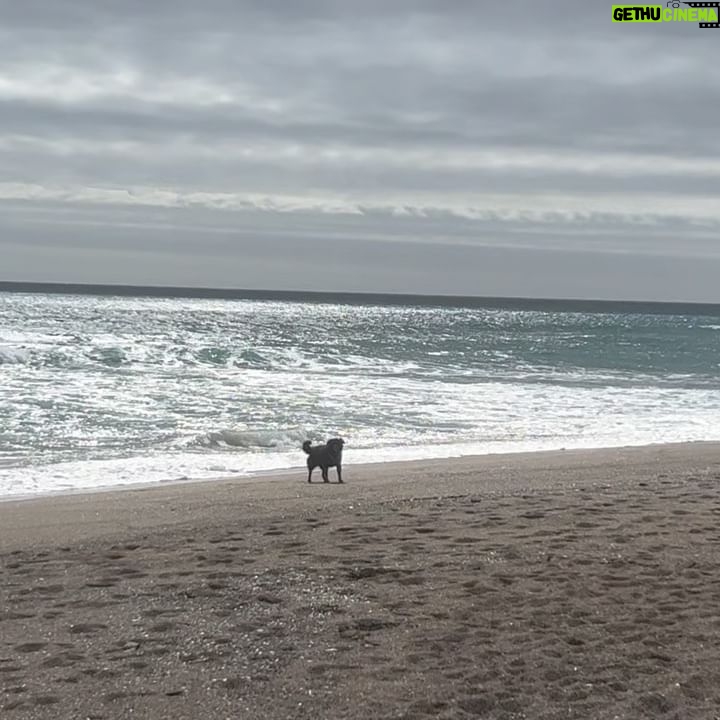 Daniela Ramírez - 13.4K Likes - Septiembre dinámico