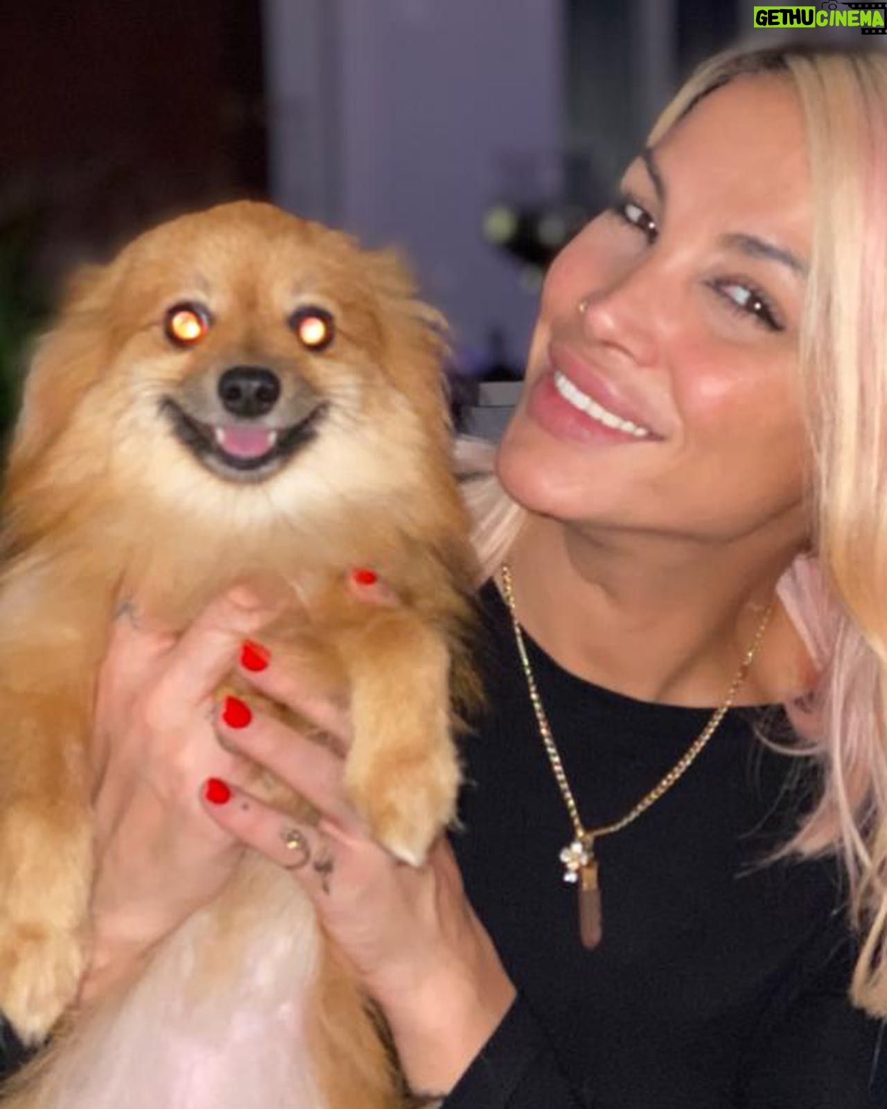 Daniela Santiago Instagram - Feliz cumpleaños mi preciosa Nala ! 💖🦊 Mi compañera de vida , mi pedacito de cielo ! Gracias por hacerme tan feliz y llenar mi vida de tanto amor , te quiero con todo mi corazón!! 💖 7 añitos !!! ❤️❤️❤️❤️❤️❤️❤️.