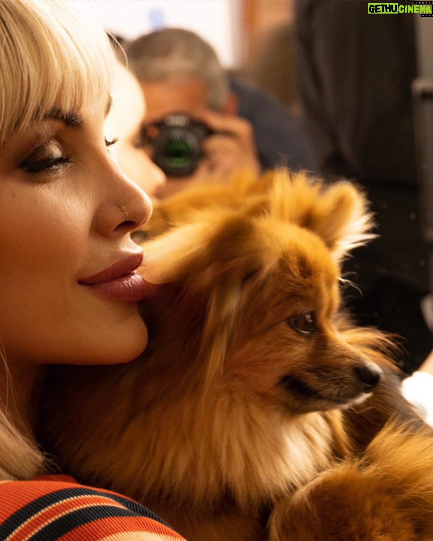 Daniela Santiago Instagram - Feliz cumpleaños mi preciosa Nala ! 💖🦊 Mi compañera de vida , mi pedacito de cielo ! Gracias por hacerme tan feliz y llenar mi vida de tanto amor , te quiero con todo mi corazón!! 💖 7 añitos !!! ❤️❤️❤️❤️❤️❤️❤️.