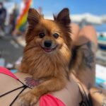 Daniela Santiago Instagram - 🤍 2023 NALA ❤️‍🔥 @edenbeachtorremolinos