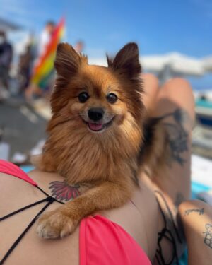 Daniela Santiago Instagram - 🤍 2023 NALA ❤️‍🔥

@edenbeachtorremolinos