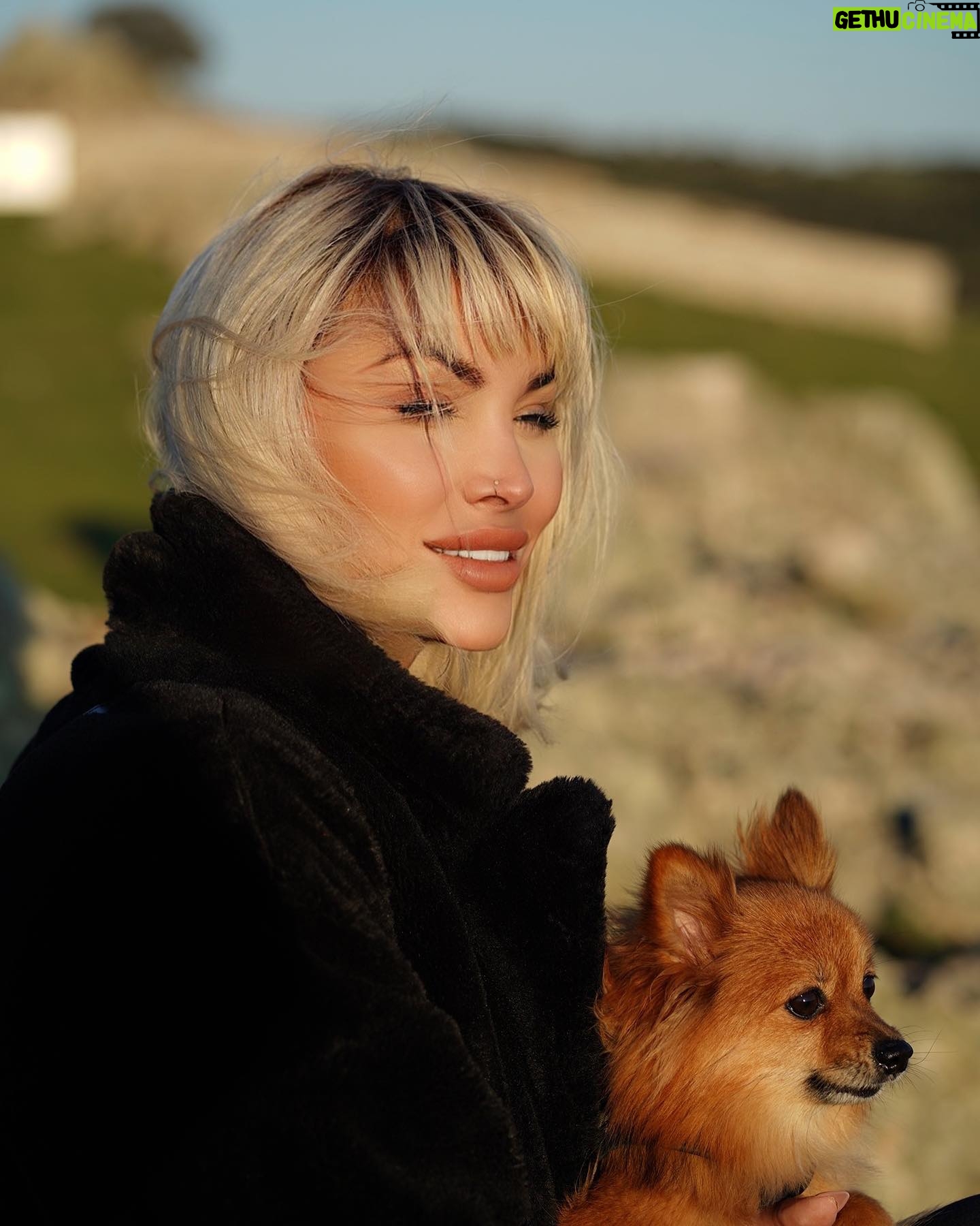 Daniela Santiago Instagram - Feliz cumpleaños mi preciosa Nala ! 💖🦊 Mi compañera de vida , mi pedacito de cielo ! Gracias por hacerme tan feliz y llenar mi vida de tanto amor , te quiero con todo mi corazón!! 💖 7 añitos !!! ❤️❤️❤️❤️❤️❤️❤️.