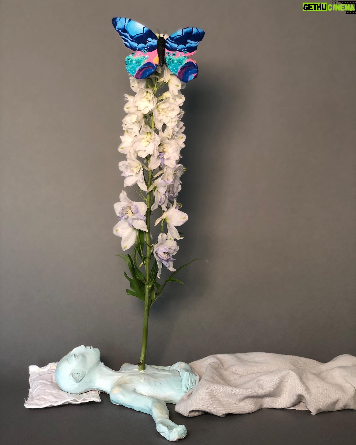 Daniella Pineda - 2.4K Likes - āFear not, the Body is just a Cocoon.ā
.
.
.
Clay, Acrylic, Wire, Tissue Paper. By Me.