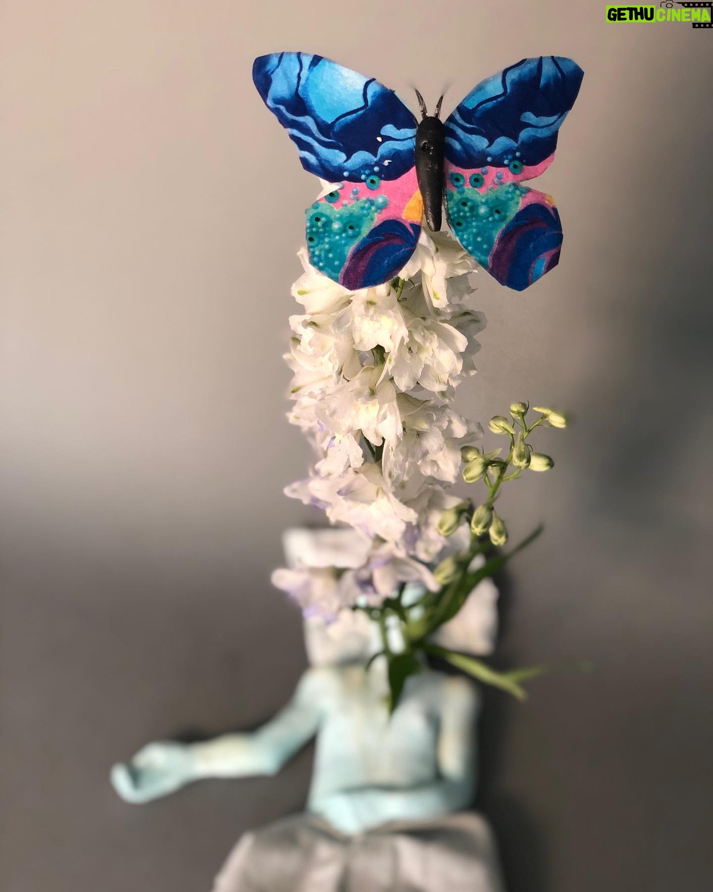 Daniella Pineda - 2.4K Likes - āFear not, the Body is just a Cocoon.ā
.
.
.
Clay, Acrylic, Wire, Tissue Paper. By Me.