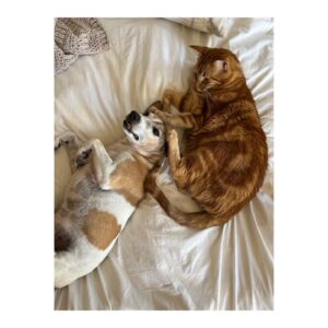 Danielle Macdonald Instagram - Been a min