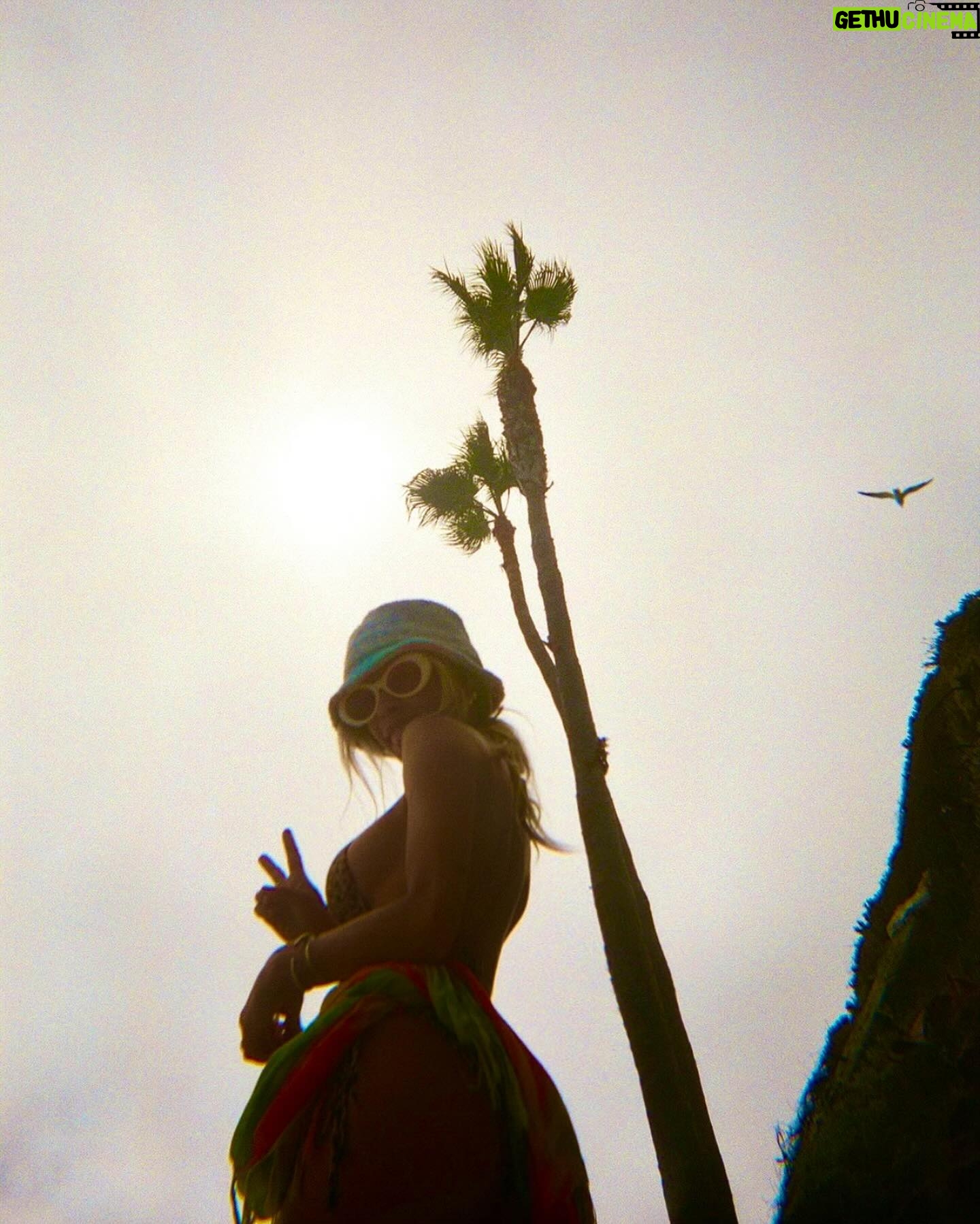 Danielle Mathers - 3 Likes - Oh Summer ☀️
You did me dirty…
I’m welcoming Fall with open arms 🍂
•
•
•
#filmdump #summer2023 #adios #sandiego #pacificbeach