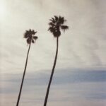 Danielle Mathers Instagram - 🖤 film dump • home